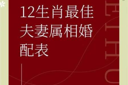 32岁属相婚配 32岁属相婚配2023年