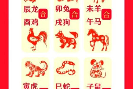 马和虎的属相合不合 马和虎的属相合不合财