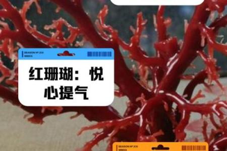 珊瑚树最忌三种属相 红珊瑚最旺的属相
