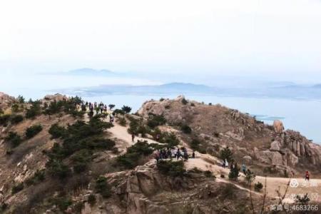 海岛春花不吉利原因 海岛上春天有迎春花映山红篇阅读答案篇阅读