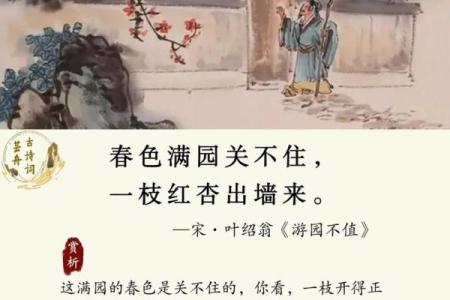 ‌红杏出墙是什么生肖 → 猴（猴攀墙杏，越界出墙）‌