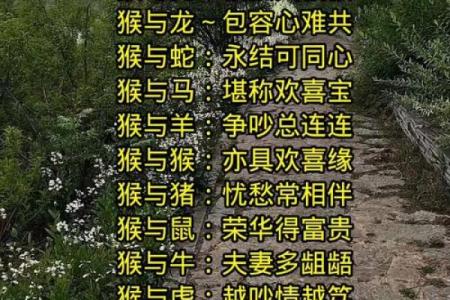 属羊男和属猴女的属相合不合 91羊男92猴女婚姻怎么样