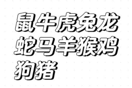 争斤论两是什么生肖