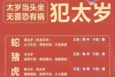 作案犯科生肖是哪一肖 作案犯科是什么生肖
