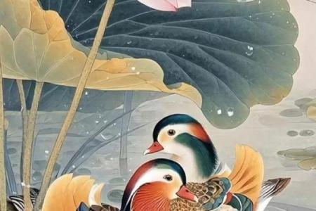 鸳鸯戏水是什么生肖(鸳鸯戏水打一成语)
