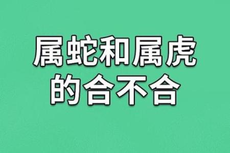 两个属蛇的在一起合不合 两个属蛇人的婚姻相配吗