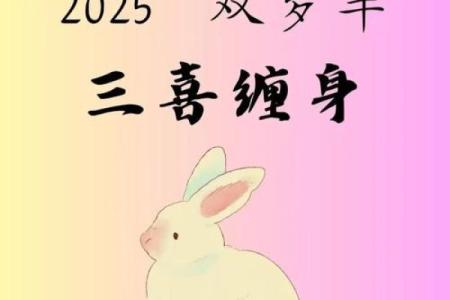 1999年属兔2025年全年运势完整版 1999年属兔人2025年每月运势详解...