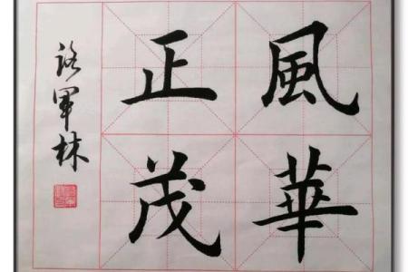 成语风华正茂代表什么生肖？详细解释其文化寓意和象征意义