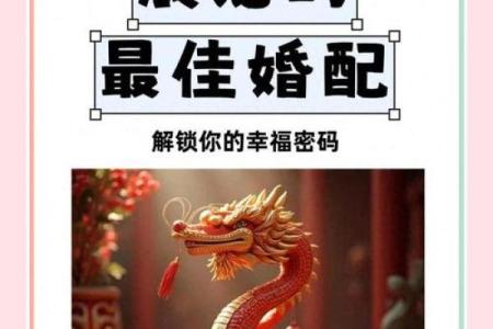 男人属蛇女人属龙婚配好不好 男属蛇女属龙能配吗