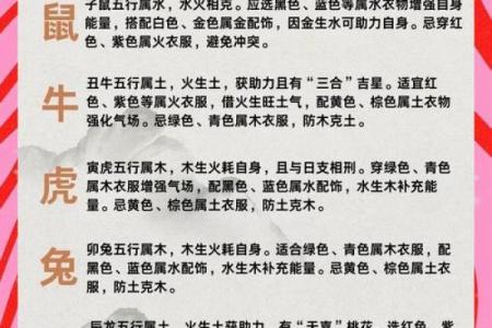 蛇年运程2013生肖年运 2013生肖运势