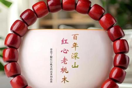 什么属相不能佩戴雷击木 什么属相不能佩戴雷击木手串