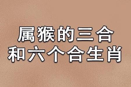 猴跟蛇的属相合不合 猴跟蛇的属相合不合子女