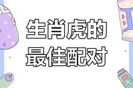 夫妻龙马属相合不合 龙马夫妻财运好不好