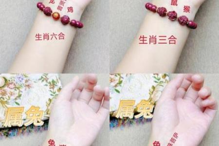 女兔跟男龙属相合不合 女兔和男龙属相配婚姻如何