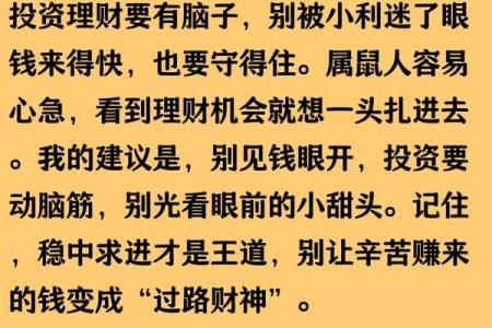 2025年属鼠人全年运势详解，财运健康事业感情全面解析