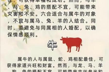十二生肖中哪个代表好衣美食，象征生活富足安逸的属相解析