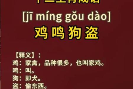 坐卧针毡着个成语具体指的是哪一个生肖动物呢？