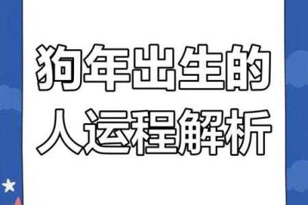 1982年属狗女性2025年每月运势详解及财运分析