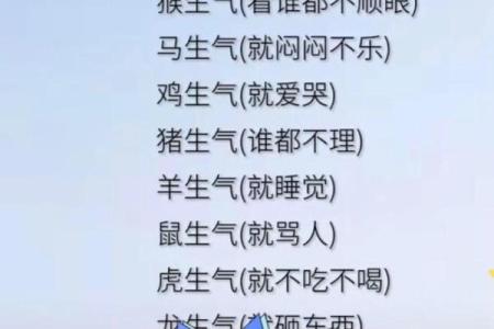 鸡犬相闻打一个生肖