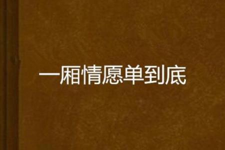 一厢情愿打一最佳生肖(一厢情愿的意思是什么)