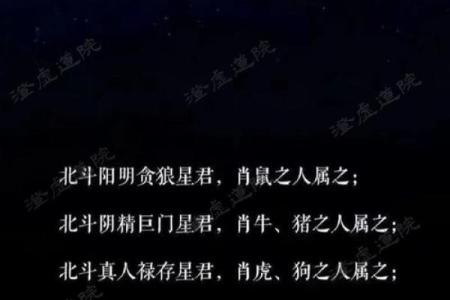 雕梁画栋着个成语在十二生肖中代表的是哪一个属相？