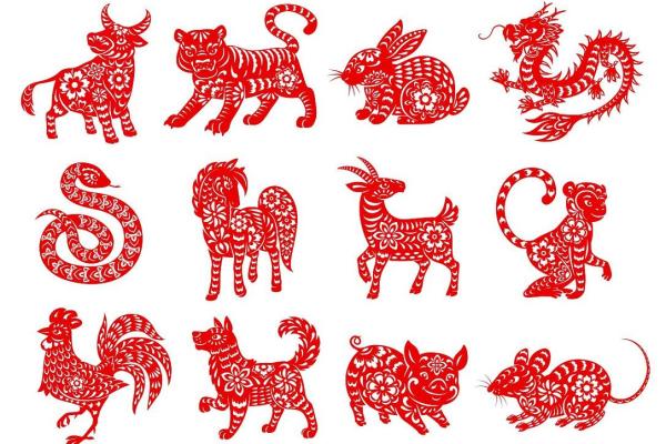 2007年农历新年属相划分，具体属狗还是属猪解析