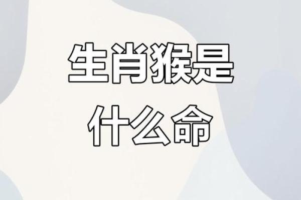 ‌红头文件是什么生肖‌：猴，猴儿机智，能解读各种文件，红头文件也不例外