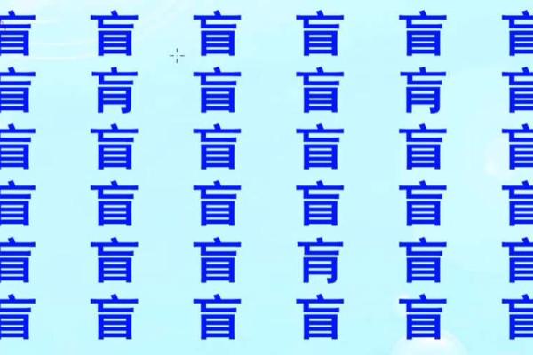 盲字是什么生肖 盲字是什么生肖2024年的