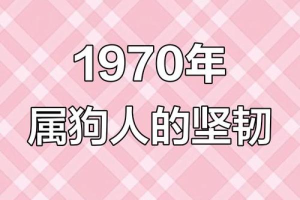 1970年属狗的人平均寿命有多长？最新统计数据