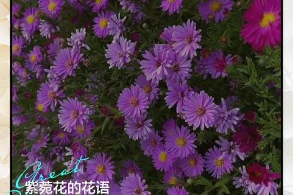 请问家花更比小花香所蕴含的生肖寓意和民间传说故事是什么？