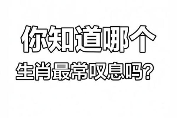 逍遥法外着个成语代表什么生肖动物呢？