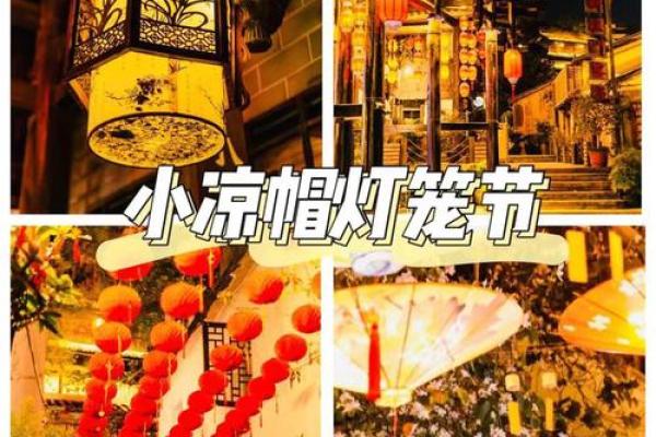 打着灯笼没处寻是什么生肖正确