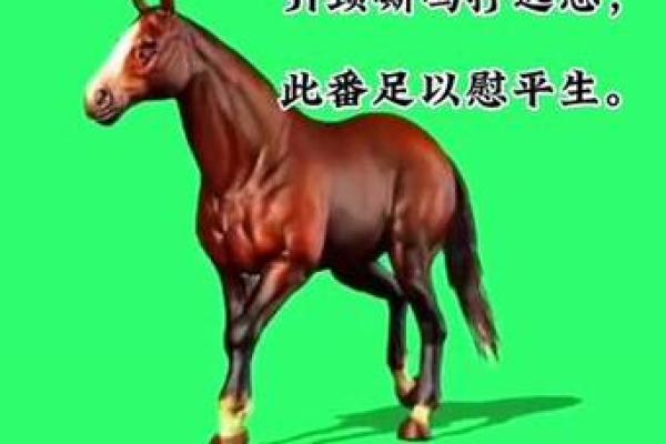 虚名在外打一生肖(虚名在外打一生肖准一肖)