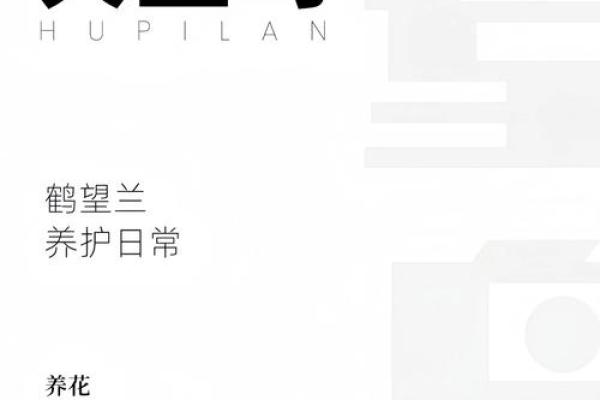 天堂鸟什么属相不能养 天堂鸟什么科什么属