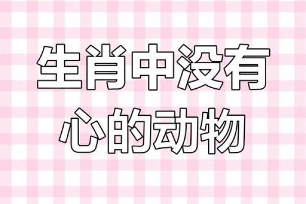 在十二生肖中，哪个动物常被用来象征独守空房或孤独的命运？