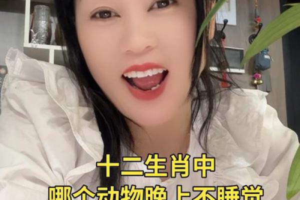 在十二生肖中，哪个动物常被用来象征独守空房或孤独的命运？