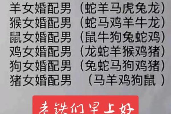 虎女跟兔男属相合不合 虎女和兔男属相合不合