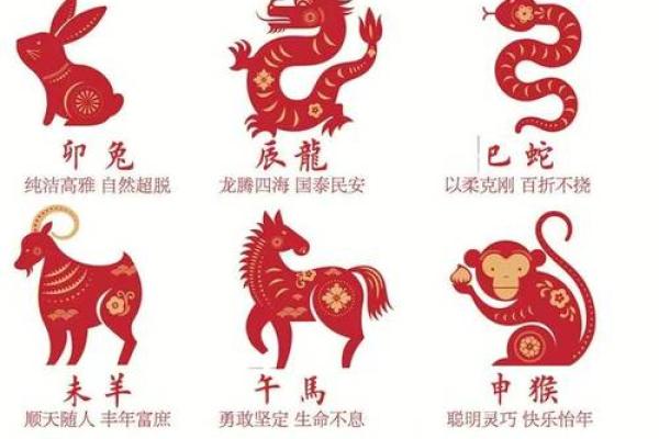 正宗版2024生肖卡表(正宗版2024生肖卡)