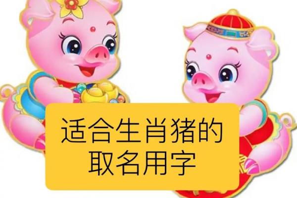 属猪缺土最吉利的字 属猪女孩缺土常用字