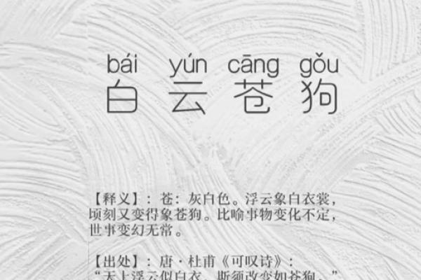 白云苍狗打一正确生肖