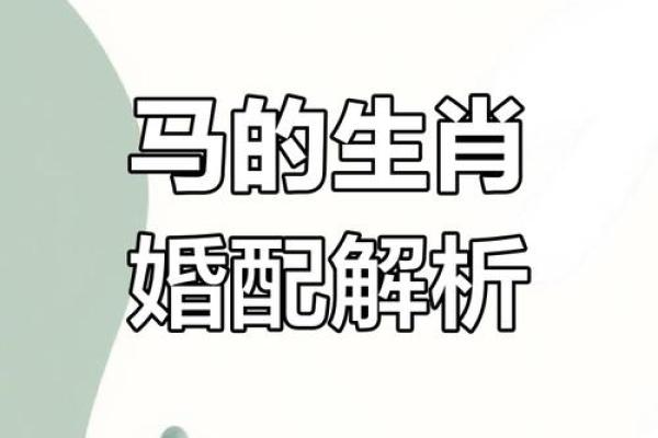 02属马的最佳婚配 属马的最佳配偶