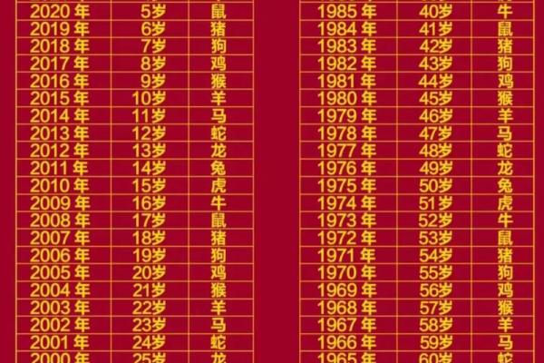 十二生肖六个合属相表 十二生肖6合对照表2021年