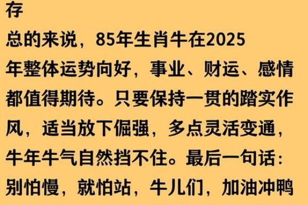 属牛人2025年的运气和财运 属牛人2025年的运气和财运如