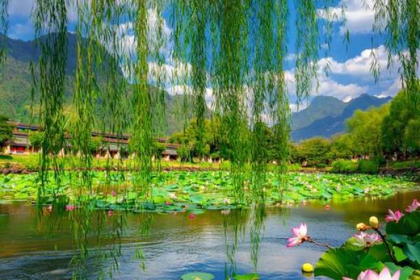 柳绿花红是什么生肖 柳绿花红代表什么动物