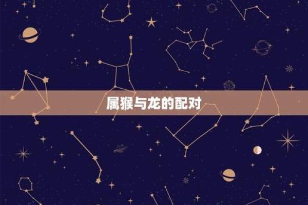 猴子跟龙的属相合不合 猴子和龙属相配婚姻如何
