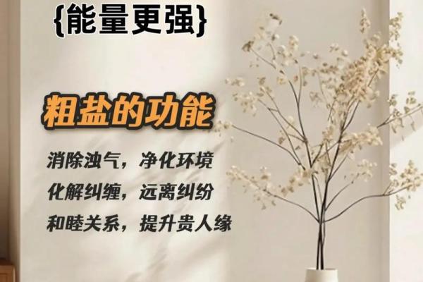 什么属相家里不能放粗盐 家里放了粗盐反而不好了