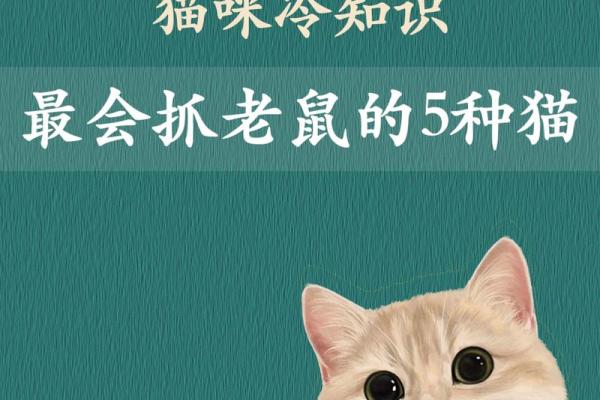 ‌心灰意冷是什么生肖 → 鼠（鼠遇猫袭，心灰意冷）‌