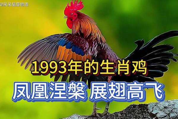 1993年属鸡的最佳配偶属相 1993年属鸡的最佳配偶年份
