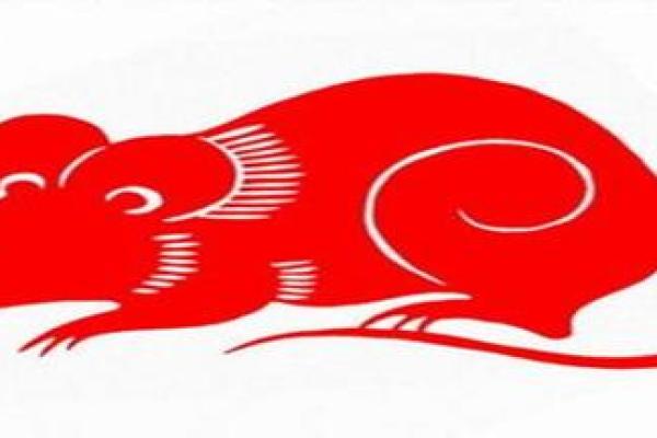 歪风邪气打一生肖的谜底到底是什么？我来告诉你答案