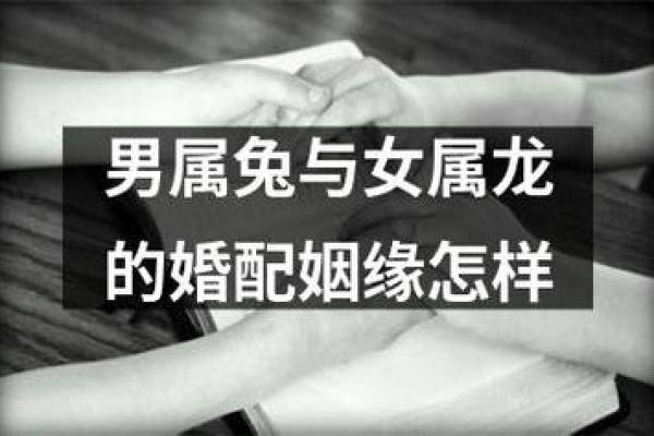 兔女和兔男属相合不合婚姻 兔女跟兔男能在一起结婚吗